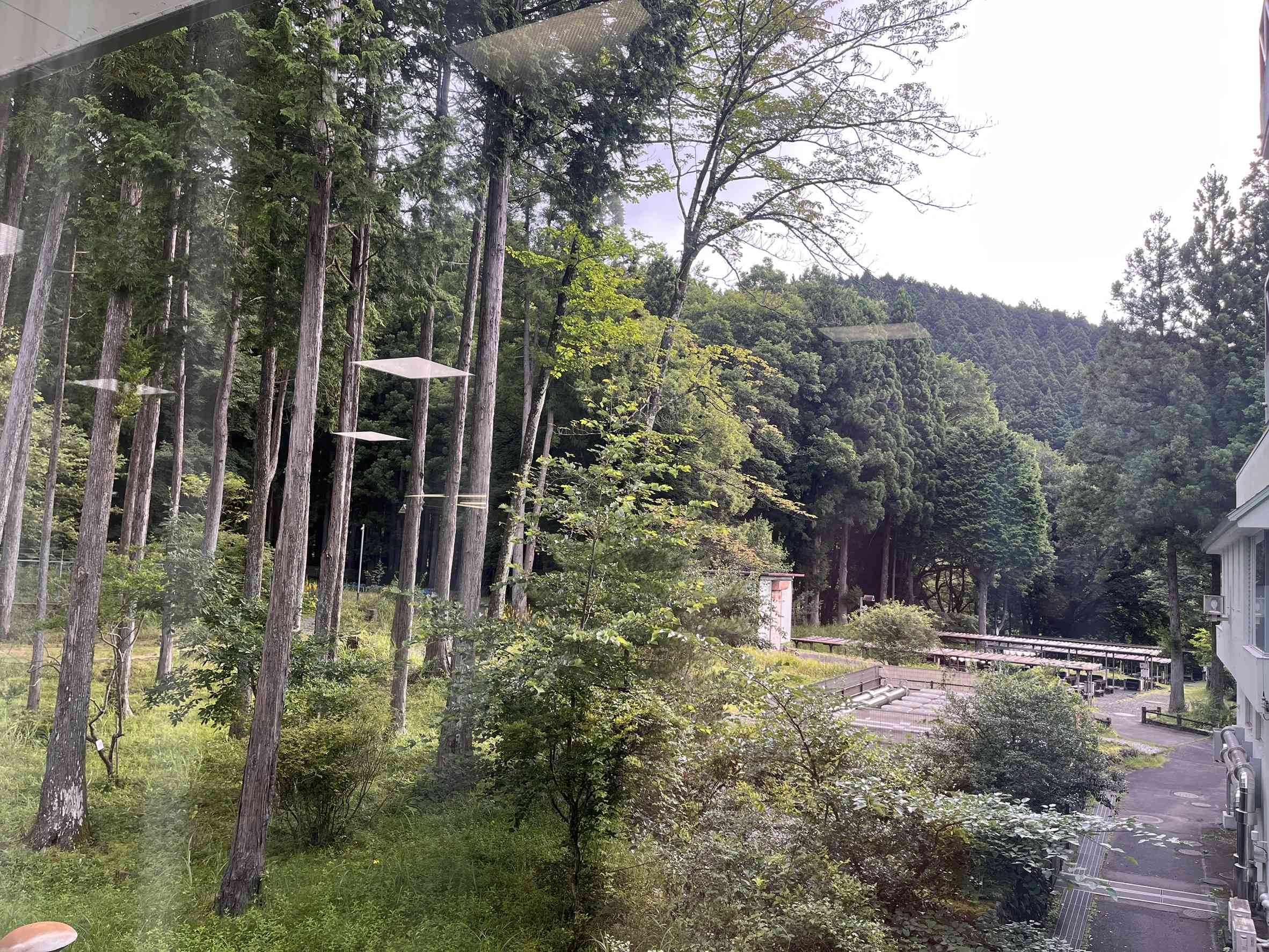 1785967434705